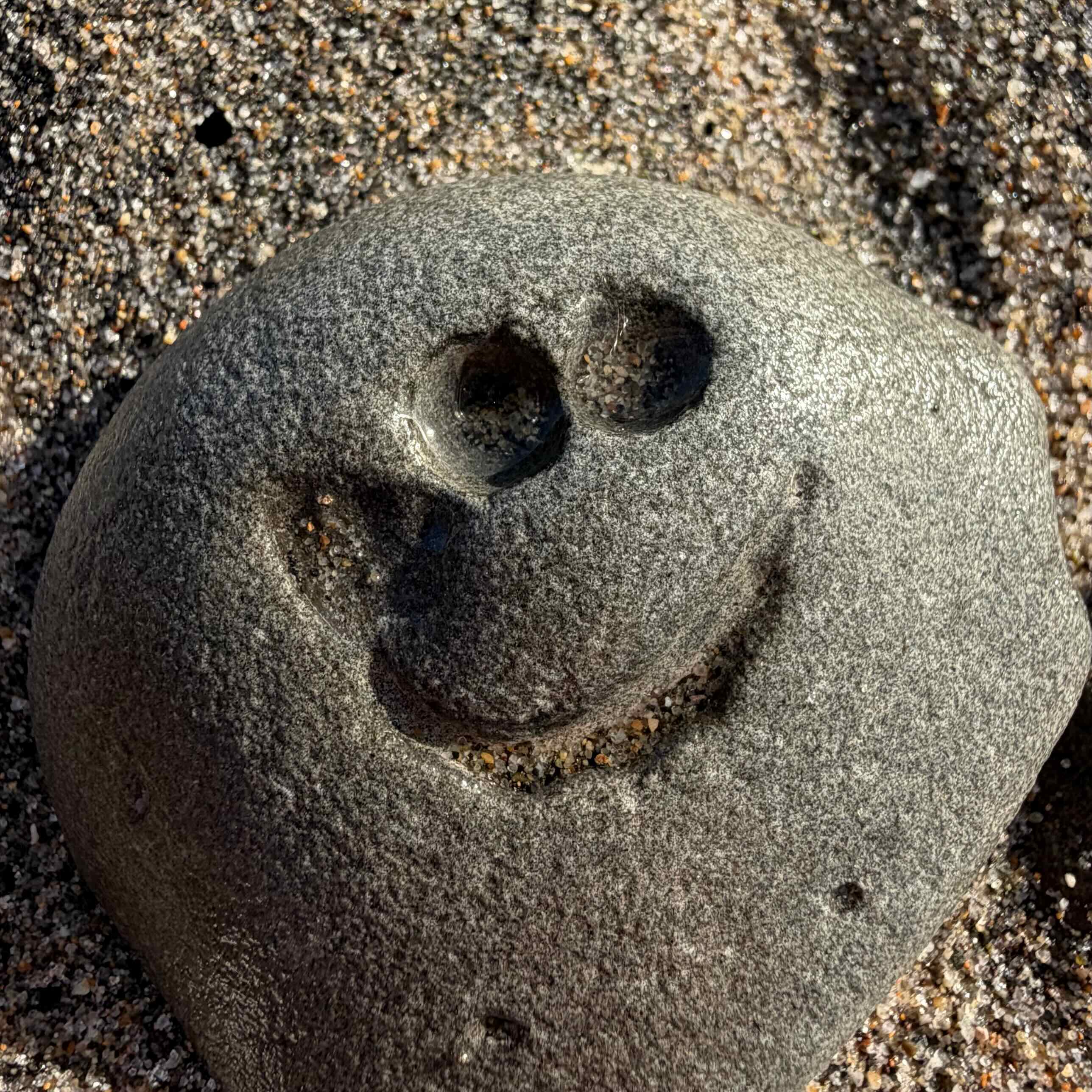 cool picture from sam